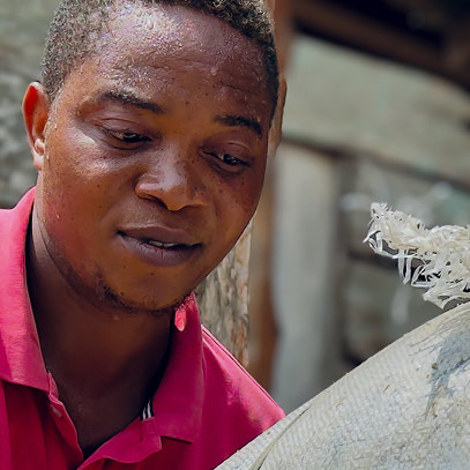 Dominic, ein Teilnehmer des ARRIVES-Programms, lädt im Rahmen seiner Tätigkeit als Schweinezüchter in Nigeria landwirtschaftliche Bedarfsartikel auf sein Motorrad.